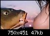     . 

:	fish-004.jpg 
:	3292 
:	47.1  
ID:	75838