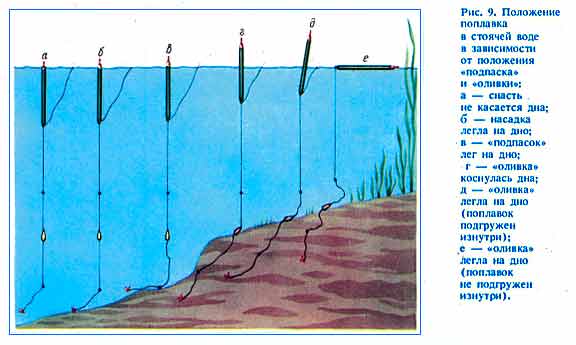 Рис.9. Положение поплавка в стоячей воде в зависимости от воложения подпаска и оливки.